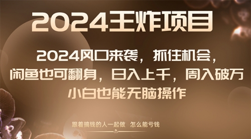 【副业项目8548期】2024闲鱼翻身项目，小白也可做-青简副业网