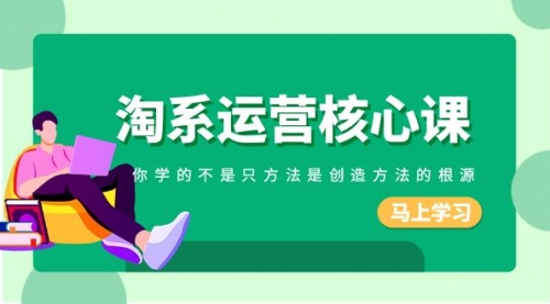 【副业项目8556期】淘系-运营核心课，你学的不是只方法是创造方法的根源-青简副业网
