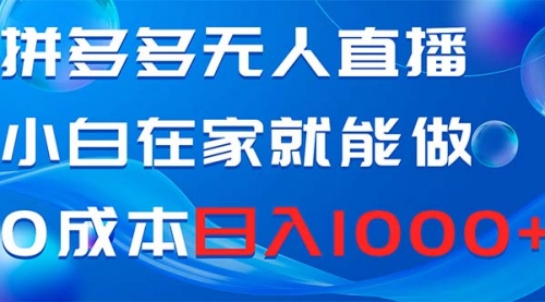 【副业项目8603期】拼多多无人直播，小白在家就能做，0成本日入1000+-青简副业网