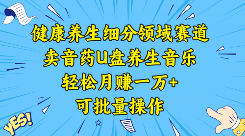【副业项目8638期】健康养生细分领域赛道，卖音药U盘养生音乐，轻松月赚一万+，可批量操作-青简副业网