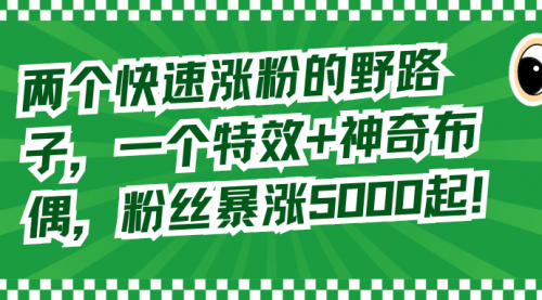 【副业8723期】两个快速涨粉的野路子，一个特效+神奇布偶，粉丝暴涨5000起！-青简副业网
