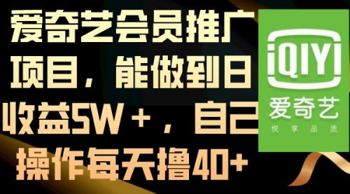 【副业8764期】爱奇艺会员推广项目，能做到日收益5W＋-青简副业网