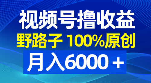 【副业8771期】视频号野路子撸收益，100%原创，条条爆款，月入6000＋-青简副业网