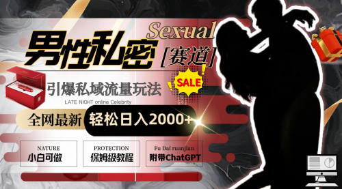 【副业8789期】全网最新男性私密赛道玩法，引爆私域流量，轻松日入2000+-青简副业网