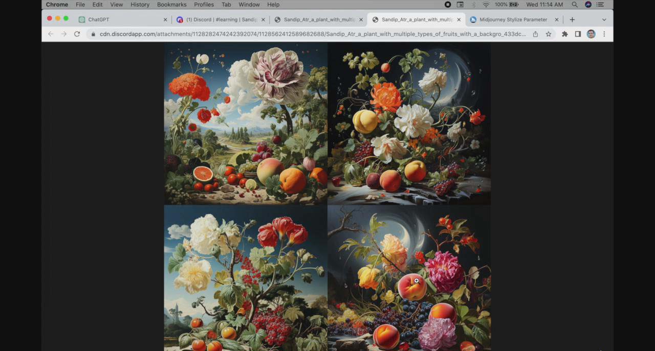 【副业8871期】ChatGPT4 和 MidJourney AI 绘画聊天革命性指南教程-33节视频课-中英字幕-青简副业网