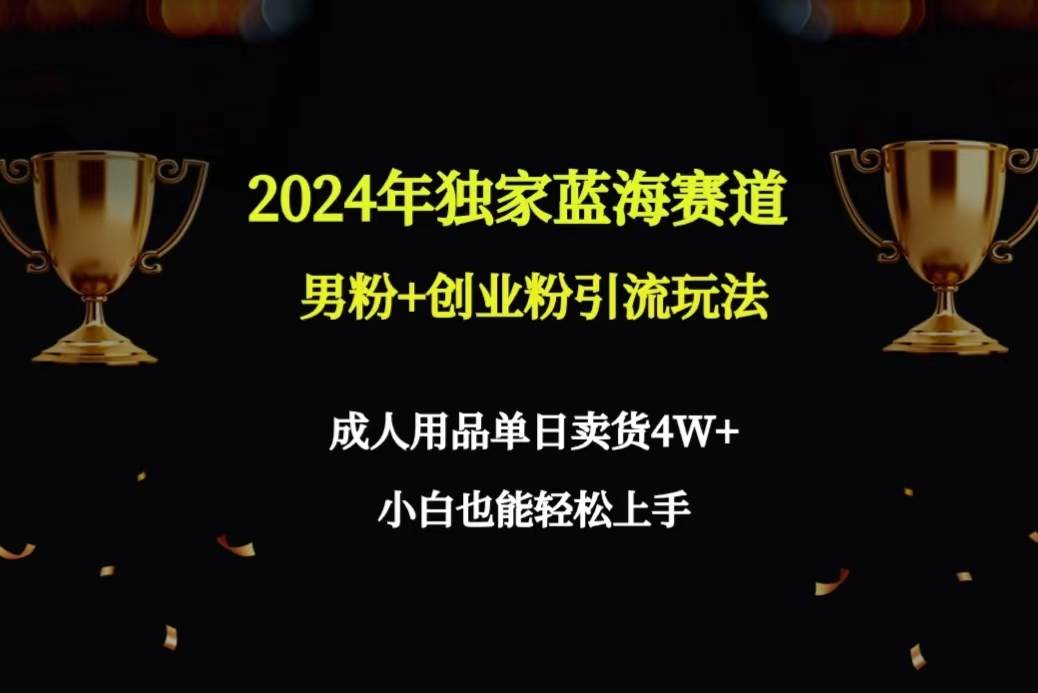 2024年独家蓝海赛道男粉+创业粉引流玩法，成人用品单日卖货4W+保姆教程-青简副业网