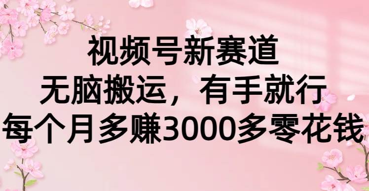 视频号新赛道，无脑搬运，有手就行，每个月多赚3000多零花钱-青简副业网