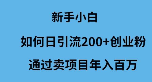 新手小白如何日引流200+创业粉通过卖项目年入百万-青简副业网