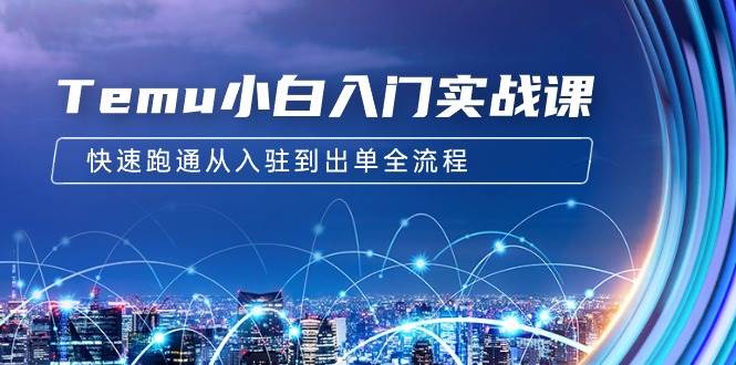 Temu小白入门实战课：跨境拼多多电商培训 快速跑通从入驻到出单全流程-12节-青简副业网