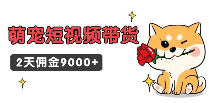 东哲日记·萌宠短视频带货，2天佣金9000+-青简副业网