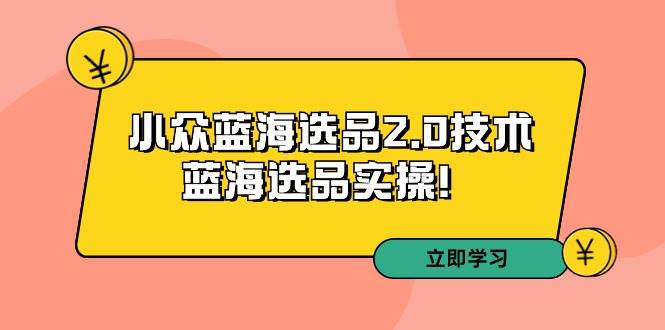 拼多多培训第33期：小众蓝海选品2.0技术-蓝海选品实操！-青简副业网