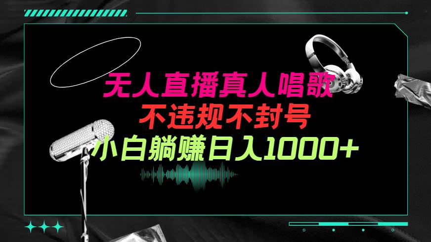 抖音24小时无人直播音乐，不违规，不封号纯撸音浪，小白实操当天日入1000+-青简副业网