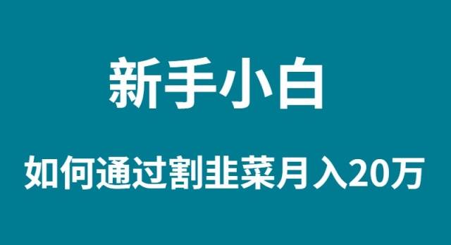 新手小白如何通过割韭菜月入 20W-青简副业网