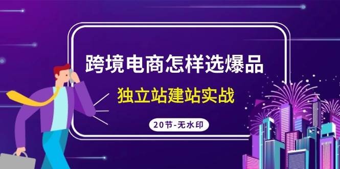 跨境电商怎样选爆品，独立站建站实战（20节高清无水印课）-青简副业网