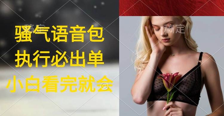 执行就出单，日入2000+，超火骚气语音包，小白看完课程就能马上实操-青简副业网