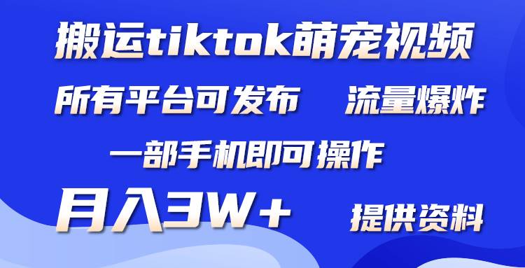 搬运Tiktok萌宠类视频，一部手机即可。所有短视频平台均可操作，月入3W+-青简副业网