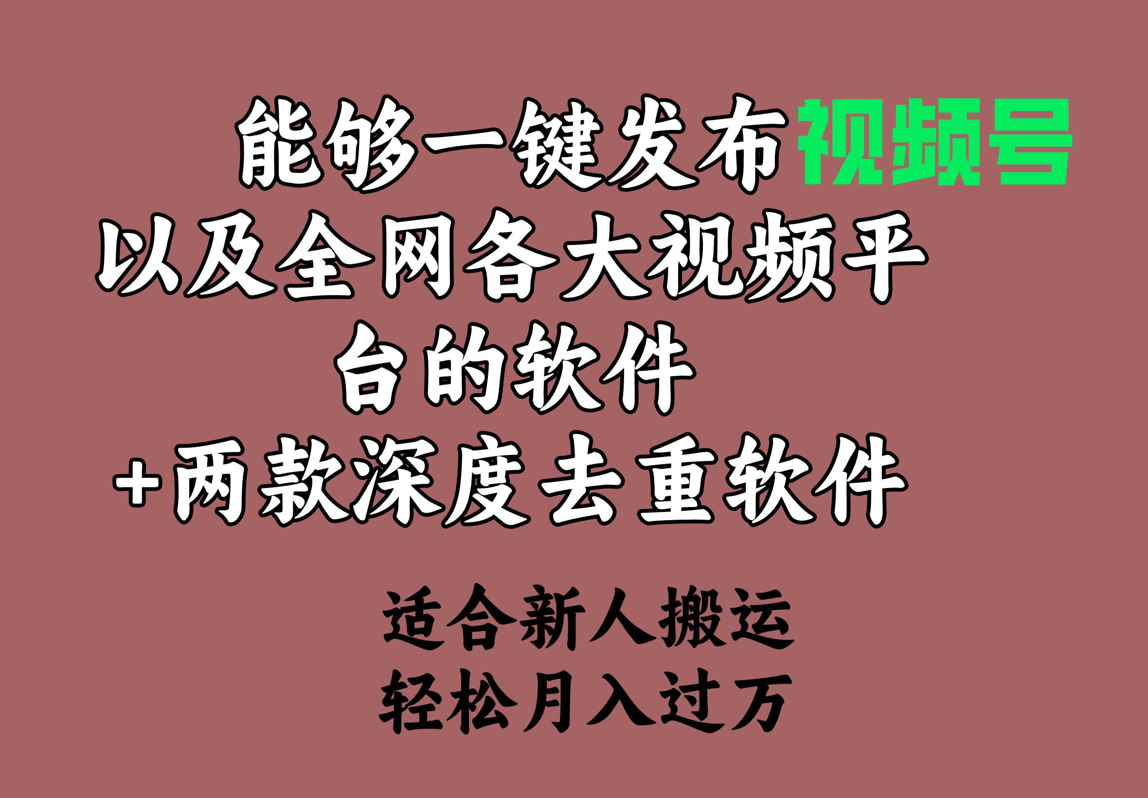 能够一键发布视频号以及全网各大视频平台的软件+两款深度去重软件 适合…-青简副业网