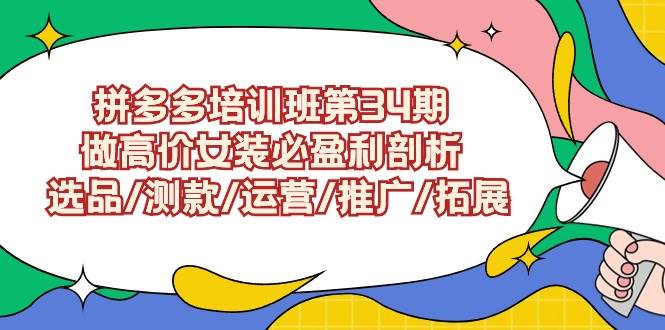 拼多多培训班第34期：做高价女装必盈利剖析  选品/测款/运营/推广/拓展-青简副业网