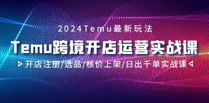 2024Temu跨境开店运营实战课，开店注册/选品/核价上架/日出千单实战课-青简副业网