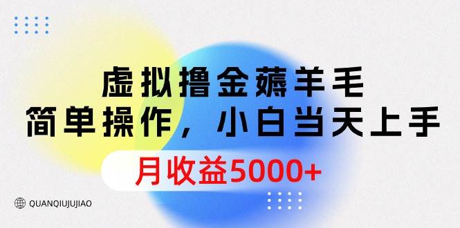 虚拟撸金薅羊毛，简单操作，小白当天上手，月收益5000+-青简副业网