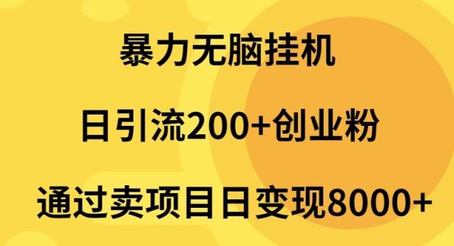 暴力无脑挂机日引流200+创业粉通过卖项目日变现2000+-青简副业网