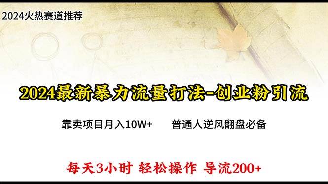 2024年最新暴力流量打法，每日导入300+，靠卖项目月入10W+-青简副业网