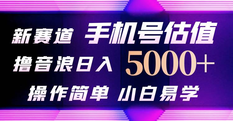 抖音不出境直播【手机号估值】最新撸音浪，日入5000+，简单易学，适合…-青简副业网