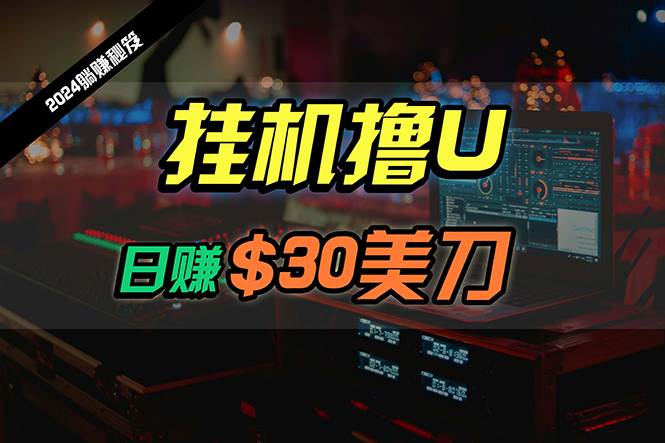 日赚30美刀，2024最新海外挂机撸U内部项目，全程无人值守，可批量放大-青简副业网
