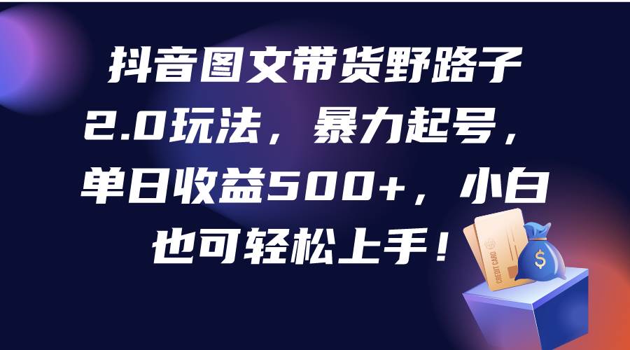 抖音图文带货野路子2.0玩法，暴力起号，单日收益500+，小白也可轻松上手！-青简副业网