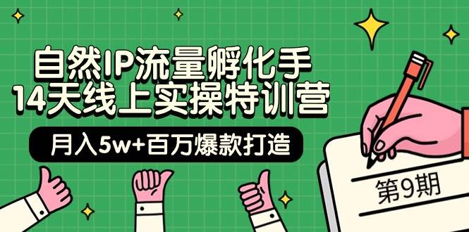 自然IP流量孵化手 14天线上实操特训营【第9期】月入5w+百万爆款打造 (74节)-青简副业网