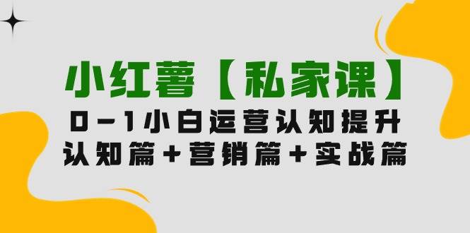 小红薯【私家课】0-1玩赚小红书内容营销，认知篇+营销篇+实战篇（11节课）-青简副业网