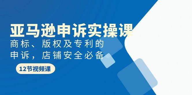 亚马逊-申诉实战课，商标、版权及专利的申诉，店铺安全必备-青简副业网