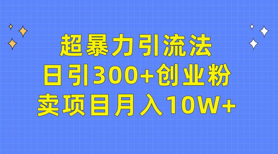 超暴力引流法，日引300+创业粉，卖项目月入10W+-青简副业网