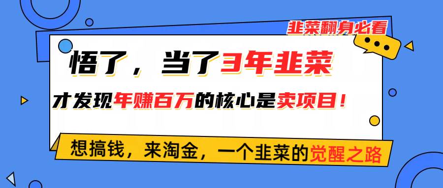 悟了，当了3年韭菜，才发现网赚圈年赚100万的核心是卖项目，含泪分享！-青简副业网