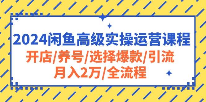 2024闲鱼高级实操运营课程：开店/养号/选择爆款/引流/月入2万/全流程-青简副业网