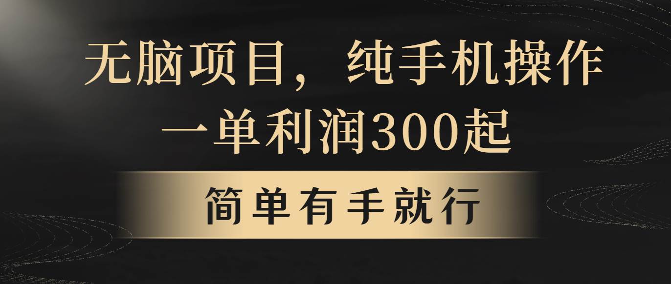 无脑项目，一单几百块，轻松月入5w+，看完就能直接操作-青简副业网