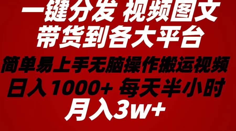 2024年 一键分发带货图文视频  简单易上手 无脑赚收益 每天半小时日入1…-青简副业网