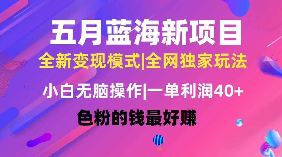 五月蓝海项目全新玩法，小白无脑操作，一天几分钟，矩阵操作，月入4万+-青简副业网