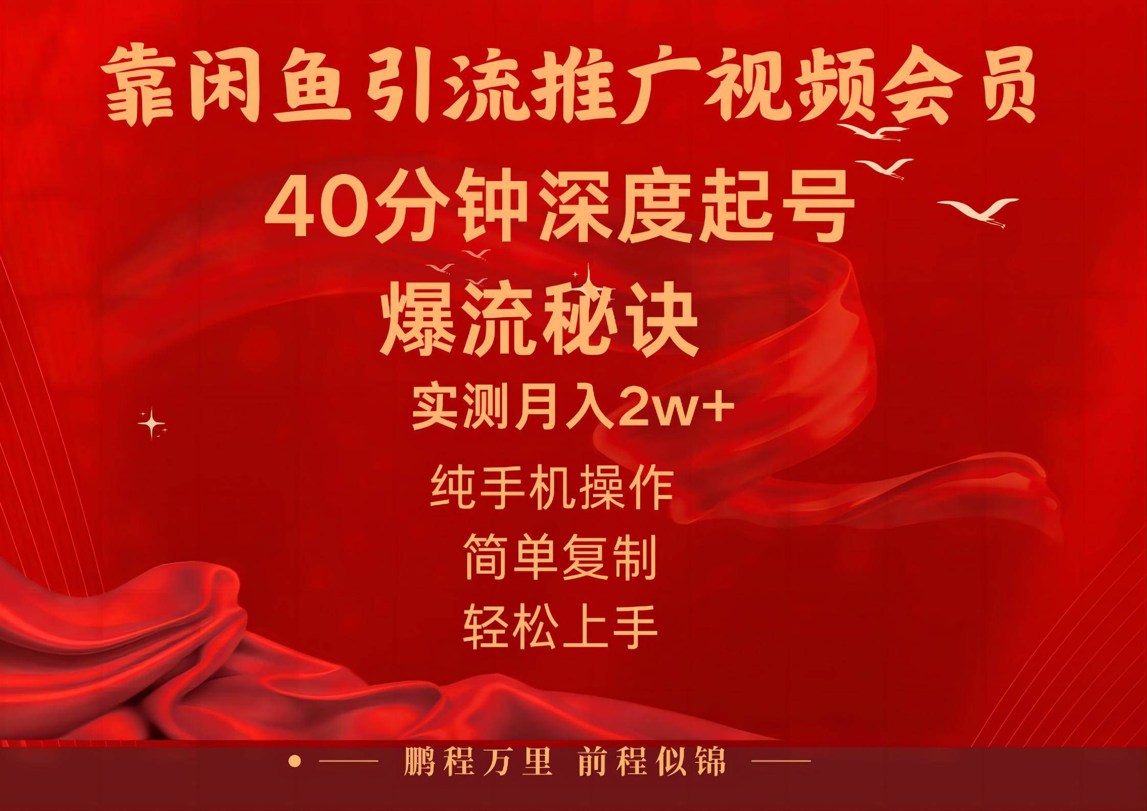 闲鱼暴力引流推广视频会员，能做到日入2W+，操作简单-青简副业网