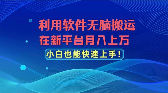 利用软件无脑搬运，在新平台月入上万，小白也能快速上手-青简副业网