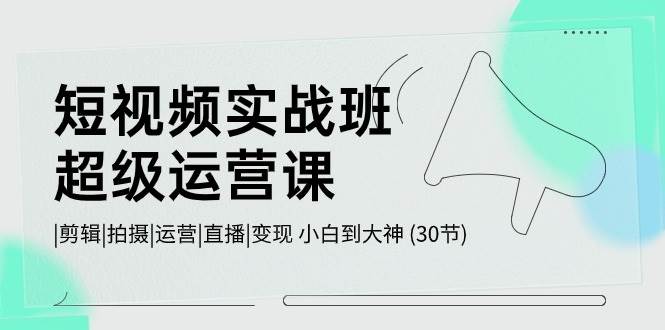 短视频实战班-超级运营课，|剪辑|拍摄|运营|直播|变现 小白到大神 (30节)-青简副业网