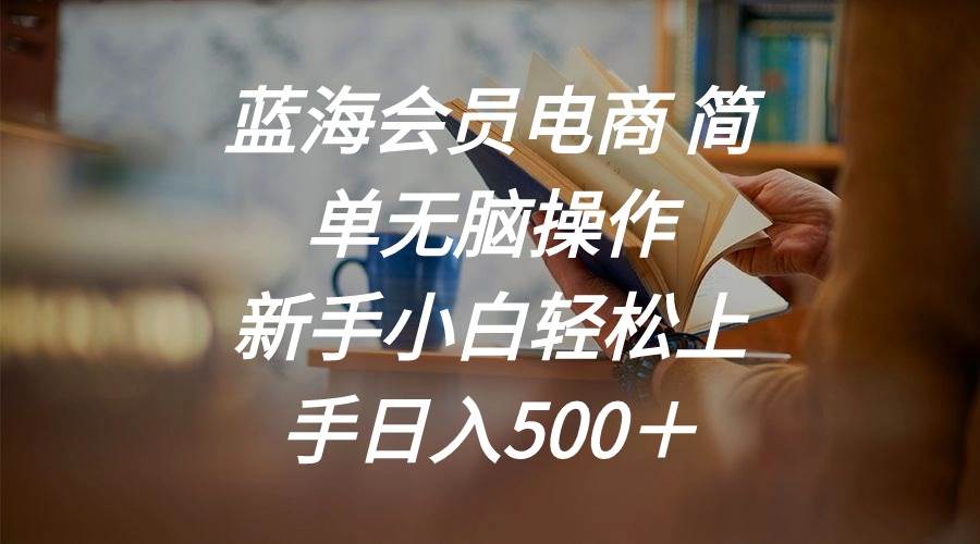 蓝海会员电商 简单无脑操作 新手小白轻松上手日入500＋-青简副业网