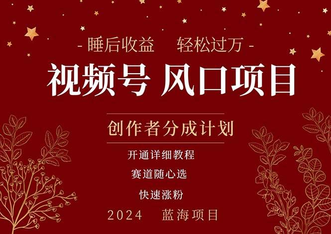 拥有睡眠收益的微信视频号大风口项目，轻松月入过万+，多赛道选择，可…-青简副业网