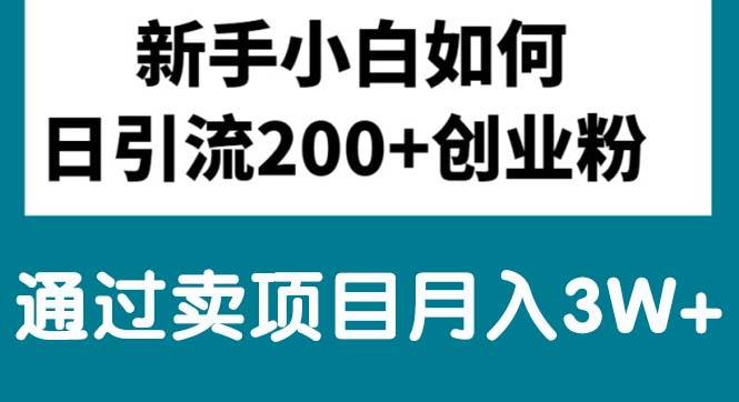 新手小白日引流200+创业粉,通过卖项目月入3W+-青简副业网