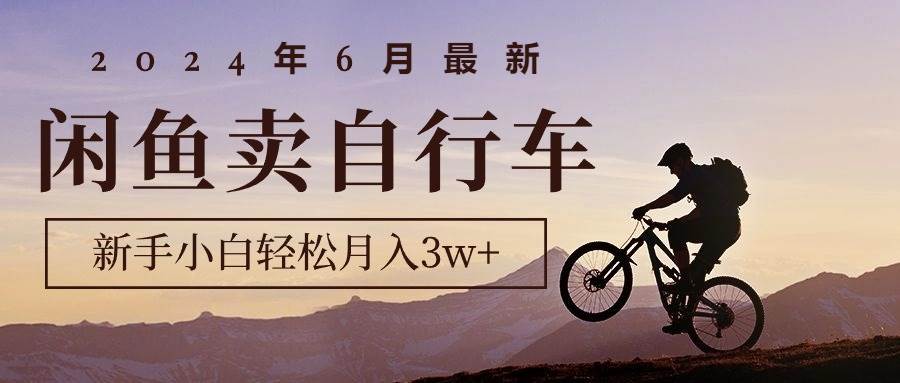2024年6月最新闲鱼卖自行车，新手小白轻松月入3w+项目-青简副业网