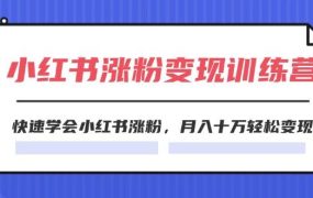 2024小红书涨粉变现训练营,快速学会小红书涨粉,月入十万轻松变现(40节)-青简副业网