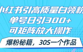 小红书引高质量白领粉,单号日引300+,可放大操作,爆粉秘籍!30s一个作品-青简副业网