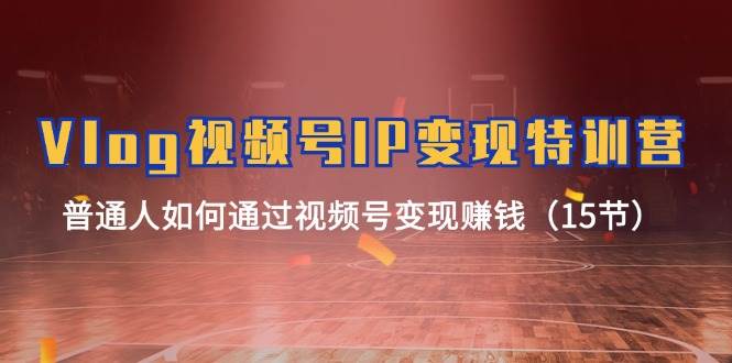Vlog 视频号IP变现特训营，普通人如何通过视频号变现赚钱（15节）-青简副业网