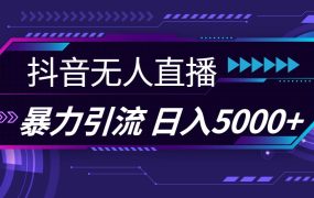 抖音无人直播,暴利引流,日入5000+-青简副业网