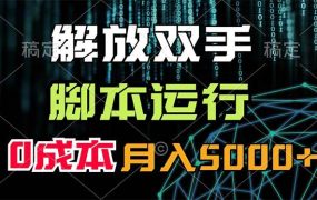 解放双手,脚本运行,0成本月入5000+-青简副业网